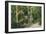 Alum Rock Park Picnic Grounds Vista View - San Jose, CA-Lantern Press-Framed Art Print