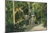 Alum Rock Park Picnic Grounds Vista View - San Jose, CA-Lantern Press-Mounted Art Print