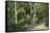 Alum Rock Park Picnic Grounds Vista View - San Jose, CA-Lantern Press-Framed Stretched Canvas