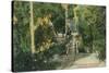 Alum Rock Park Picnic Grounds Vista View - San Jose, CA-Lantern Press-Stretched Canvas