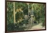 Alum Rock Park Picnic Grounds Vista View - San Jose, CA-Lantern Press-Framed Art Print