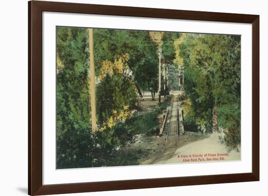 Alum Rock Park Picnic Grounds Vista View - San Jose, CA-Lantern Press-Framed Premium Giclee Print