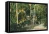 Alum Rock Park Picnic Grounds Vista View - San Jose, CA-Lantern Press-Framed Stretched Canvas