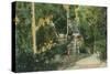 Alum Rock Park Picnic Grounds Vista View - San Jose, CA-Lantern Press-Stretched Canvas