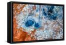 Framed Canvas