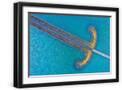 Black Frame