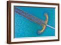 Brown Frame