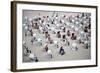 Alveare-Massimo Della-Framed Photographic Print