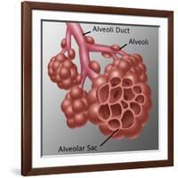 Alveoli-Gwen Shockey-Framed Giclee Print