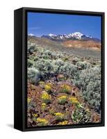 Alvord Desert-Steve Terrill-Framed Stretched Canvas