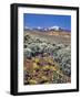 Alvord Desert-Steve Terrill-Framed Photographic Print