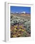 Alvord Desert-Steve Terrill-Framed Photographic Print