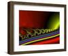 Always Remember The Meaning Of The Rainbow-Ruth Palmer-Framed Art Print