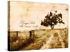 Always take the Scenic Route-Ynon Mabat-Stretched Canvas