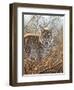 Always Watching-Chuck Black-Framed Giclee Print