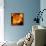 Always-Philippe Sainte-Laudy-Framed Stretched Canvas displayed on a wall