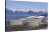 Alyeska Pipeline Terminal-DLILLC-Stretched Canvas