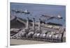 Alyeska Pipeline Terminal-DLILLC-Framed Premium Photographic Print