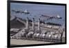 Alyeska Pipeline Terminal-DLILLC-Framed Photographic Print