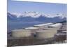 Alyeska Pipeline Terminal-DLILLC-Mounted Photographic Print