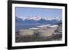 Alyeska Pipeline Terminal-DLILLC-Framed Photographic Print