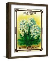 Alyssum Seed Packet-Lantern Press-Framed Art Print