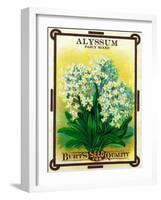 Alyssum Seed Packet-Lantern Press-Framed Art Print