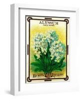 Alyssum Seed Packet-Lantern Press-Framed Art Print