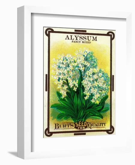 Alyssum Seed Packet-Lantern Press-Framed Art Print