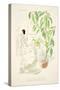 Am Fenster, Plants by Hermann Rothe, from Styl, Pub.1922 (Pochoir Print)-German School-Stretched Canvas