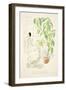 Am Fenster, Plants by Hermann Rothe, from Styl, Pub.1922 (Pochoir Print)-German School-Framed Giclee Print