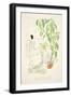 Am Fenster, Plants by Hermann Rothe, from Styl, Pub.1922 (Pochoir Print)-German School-Framed Giclee Print