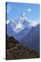 Ama Dablam from Trail Between Namche Bazaar and Everest View Hotel, Nepal, Himalayas, Asia-Peter Barritt-Stretched Canvas