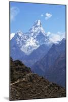 Ama Dablam from Trail Between Namche Bazaar and Everest View Hotel, Nepal, Himalayas, Asia-Peter Barritt-Mounted Photographic Print