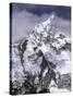 Ama Dablam Landscape, Nepal-Michael Brown-Stretched Canvas