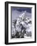 Ama Dablam Landscape, Nepal-Michael Brown-Framed Photographic Print