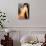 Amadeo Modigliani Nude Female-Amedeo Modigliani-Art Print displayed on a wall