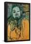 Amadeo Modigliani Portrait of Diego Rivera Art Print Poster-null-Framed Poster