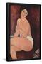 Amadeo Modigliani (Seated Nude on a Sofa) Art Poster Print-null-Framed Poster