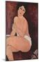 Amadeo Modigliani (Seated Nude on a Sofa) Art Poster Print-null-Mounted Poster