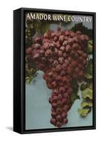 Amador Wine Country - California Grapes-Lantern Press-Framed Stretched Canvas