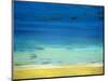 Amagansett Morning-Alicia Dunn-Mounted Art Print