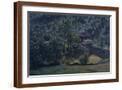 Brown Frame
