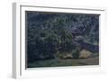 White Frame