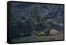 Canvas Black