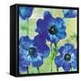 Amalfi Anemonies-Paul Brent-Framed Stretched Canvas