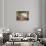 Amalfi Cappuccini-Carl Frederic Aagaard-Premium Giclee Print displayed on a wall