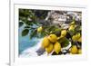 Amalfi Coast Citrus Fruit, Positano, Italy-George Oze-Framed Photographic Print