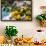 Amalfi Coast Citrus Fruit, Positano, Italy-George Oze-Framed Photographic Print displayed on a wall