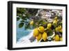 Amalfi Coast Citrus Fruit, Positano, Italy-George Oze-Framed Photographic Print